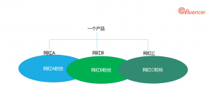 5. 海外网红营销流量流动